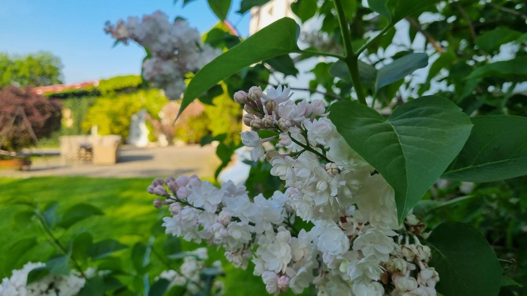 Folwark Leszczynowka Villa Srebrna Góra Buitenkant foto