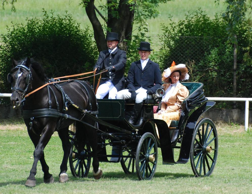 Folwark Leszczynowka Villa Srebrna Góra Buitenkant foto