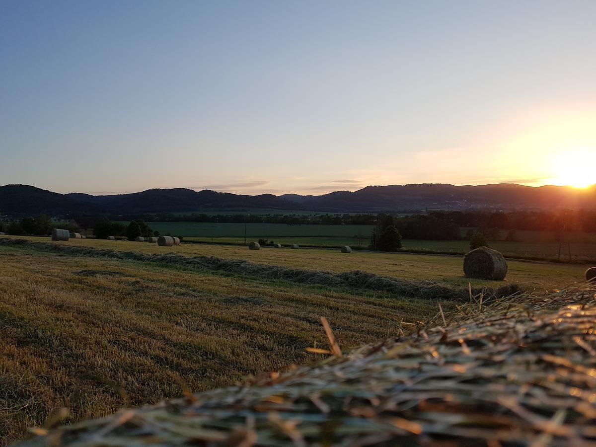 Folwark Leszczynowka Villa Srebrna Góra Buitenkant foto